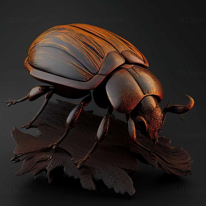 3D модель Nicrophorus confusus (STL)